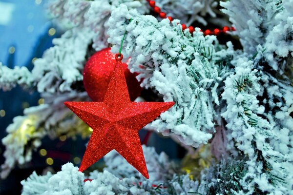 Snow branch of a spruce with a red star