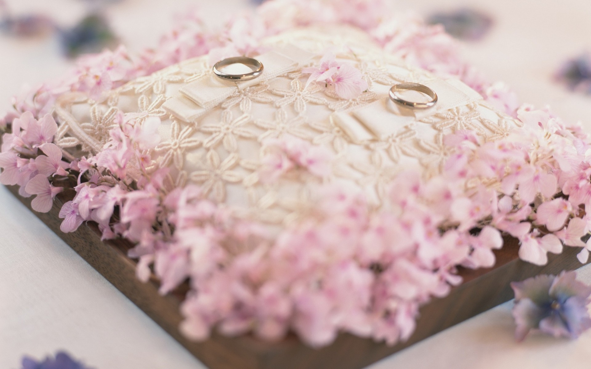 almohada fondo papel pintado anillos boda rosa vacaciones