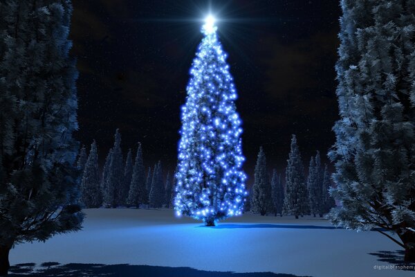 At night, the lanterns on the Christmas tree light up