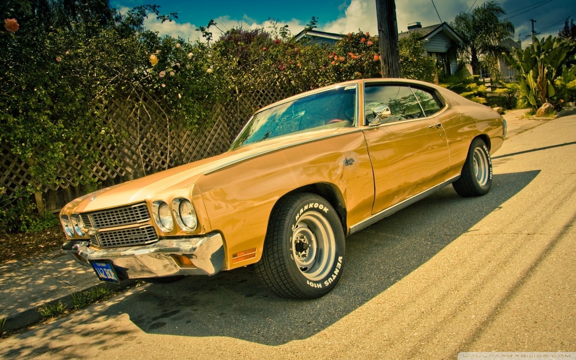 chevrolet chevelle