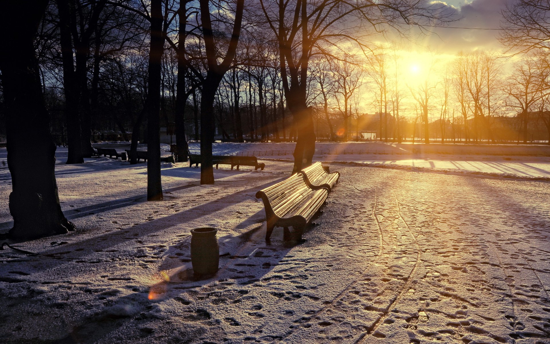 ville parc printemps coucher de soleil banc