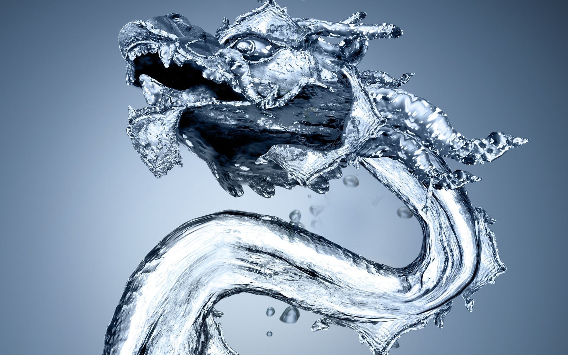 wasserdrache drache wasser drache