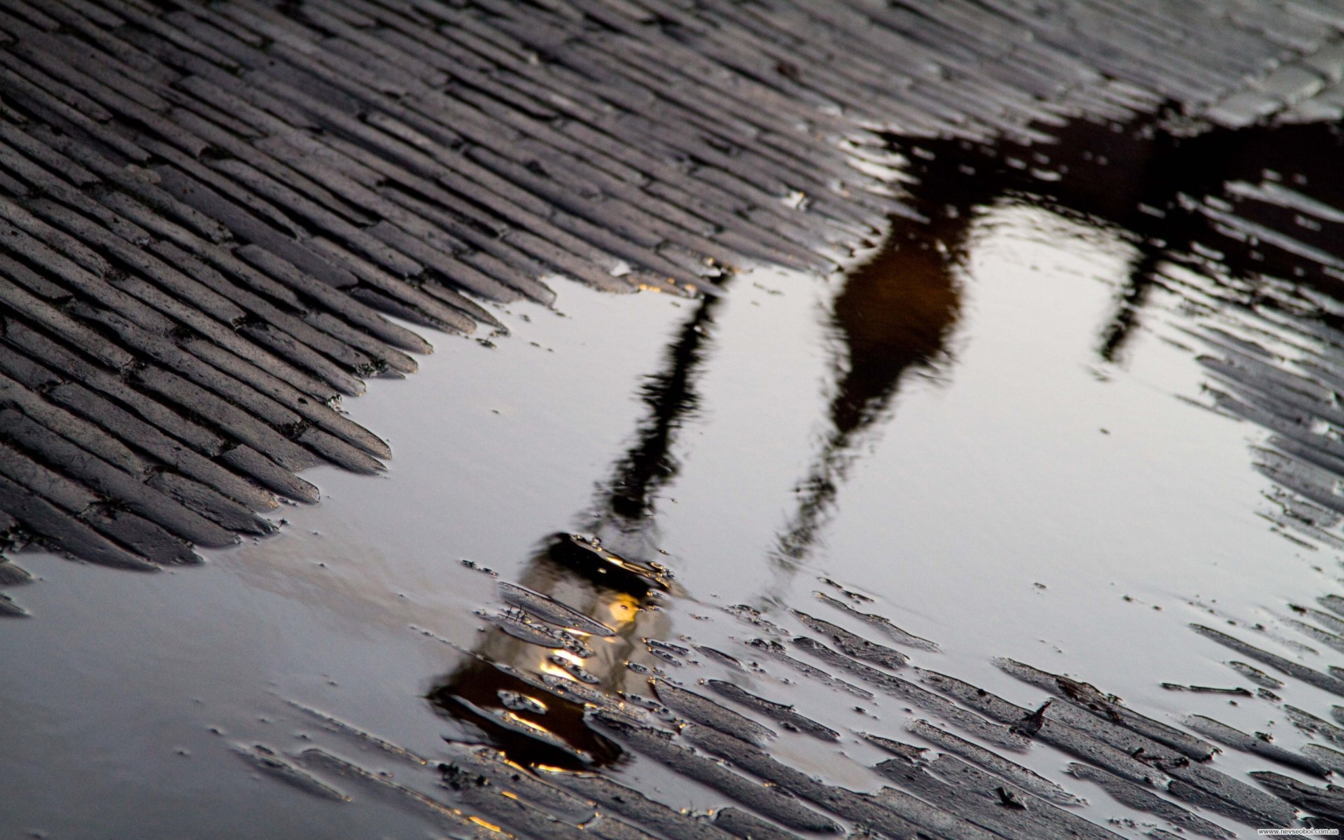 trottoir flaque d eau lanterne réflexion pluie