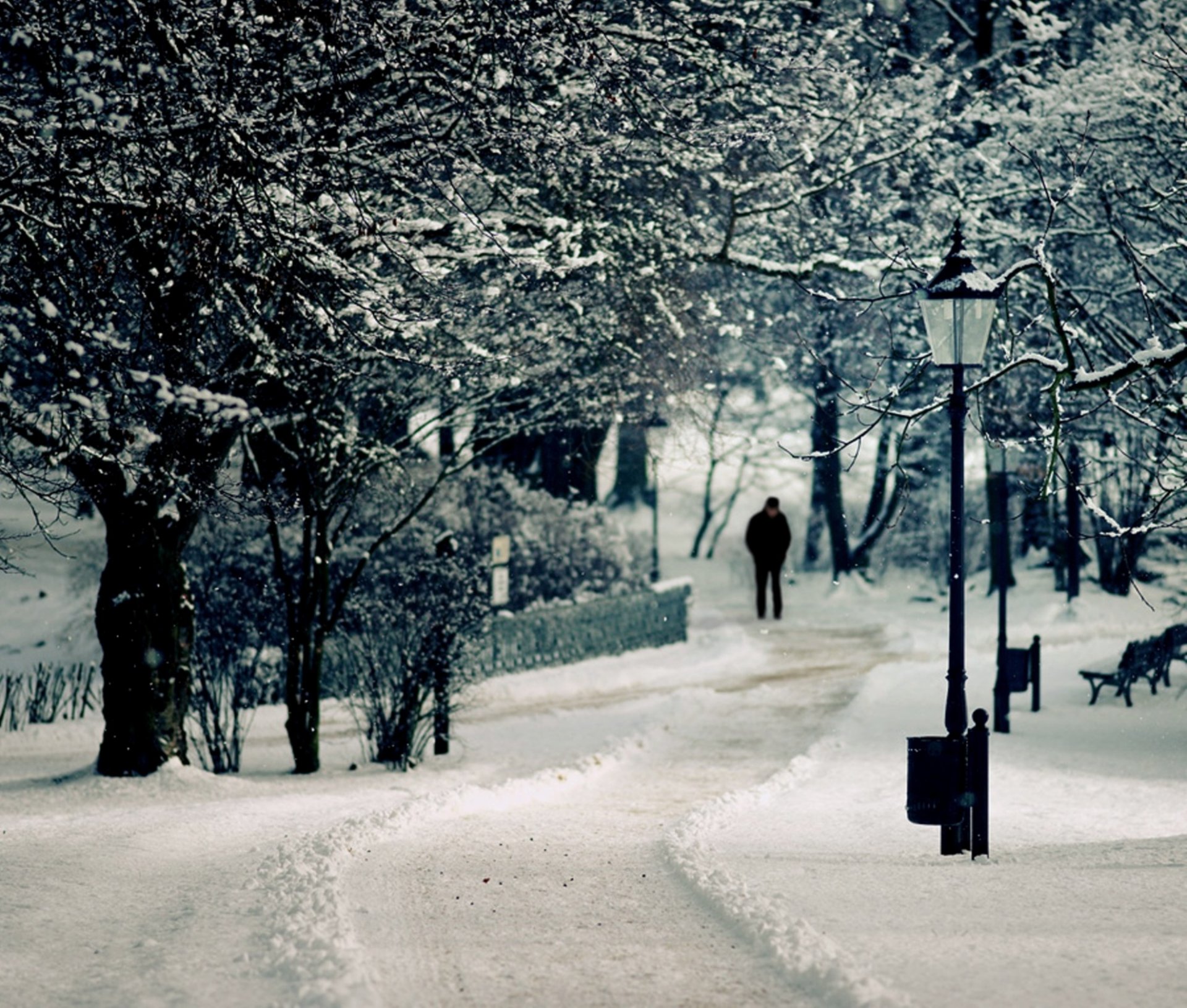 zama schnee laterne baum mann bank