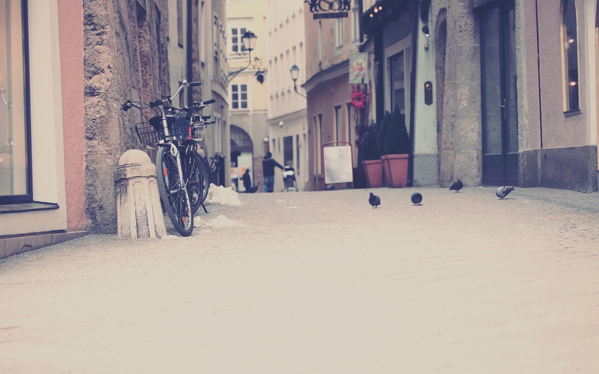 città strada casa bicicletta vale la pena tratoir sentiero piccioni uccelli sfondi sfondi desktop sfondi foto