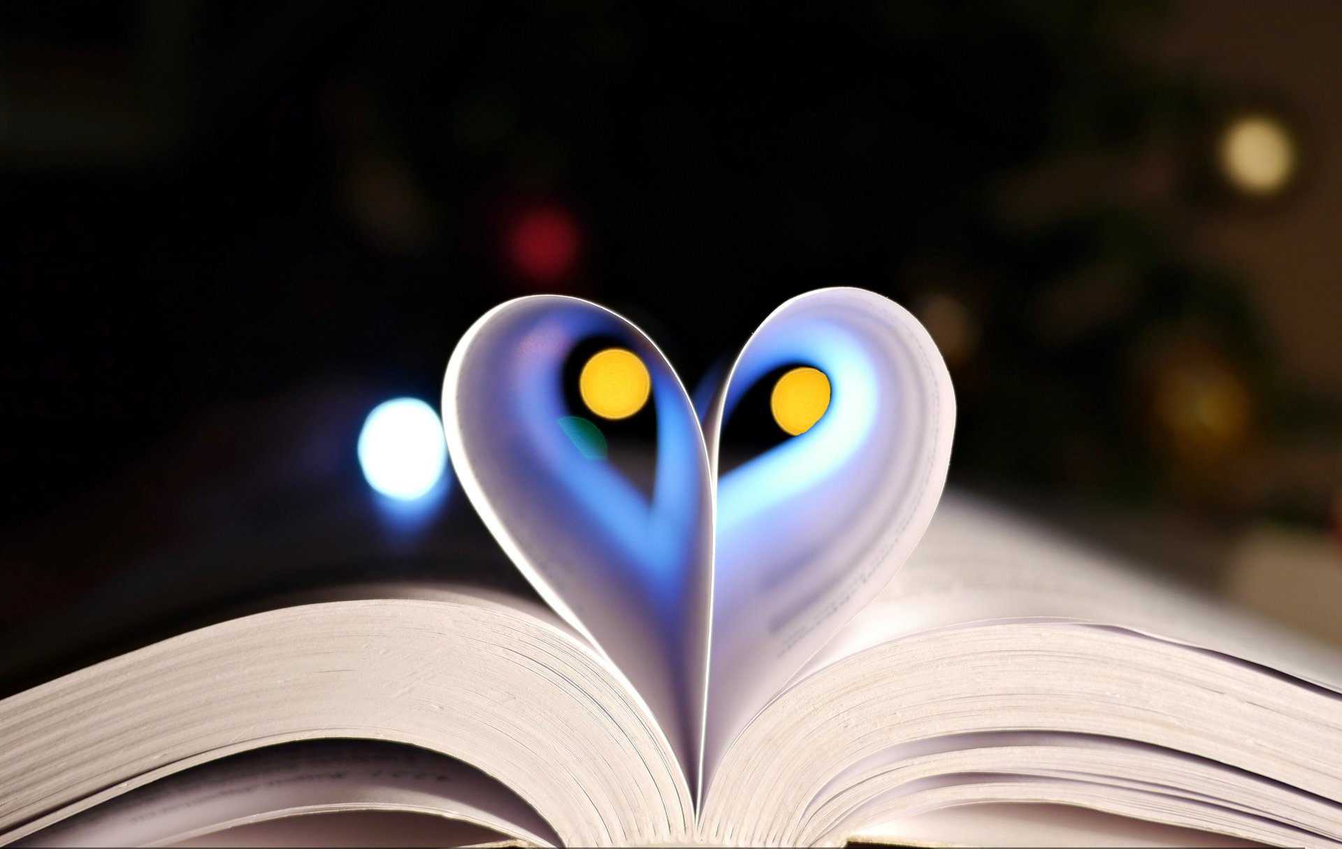 book leaves page bokeh heart