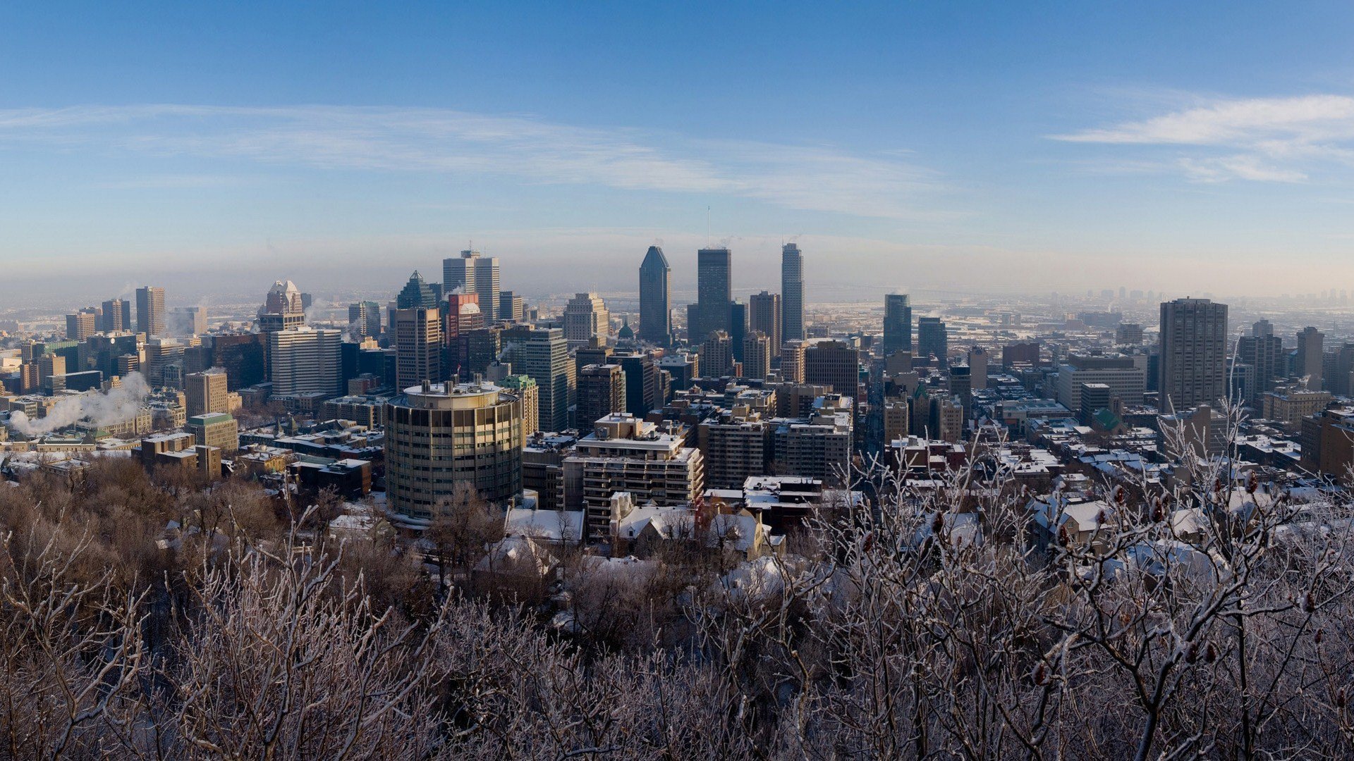 montreal kanada bäume schnee winter