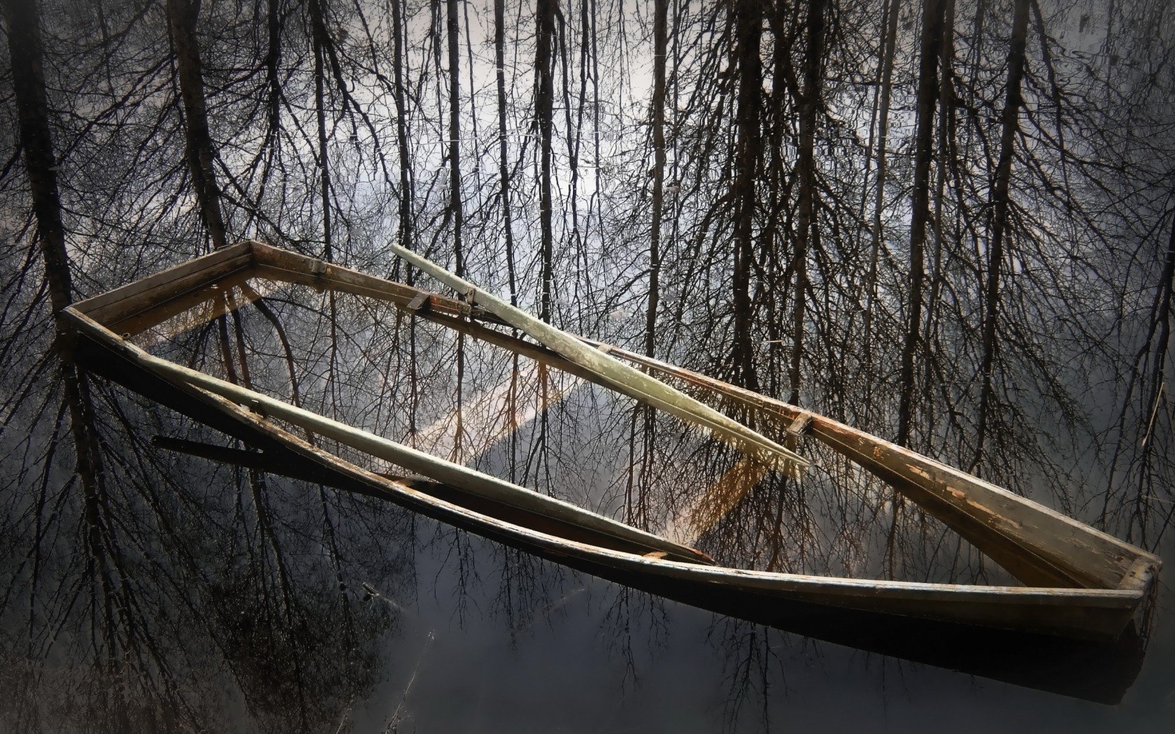 naturaleza lago barco