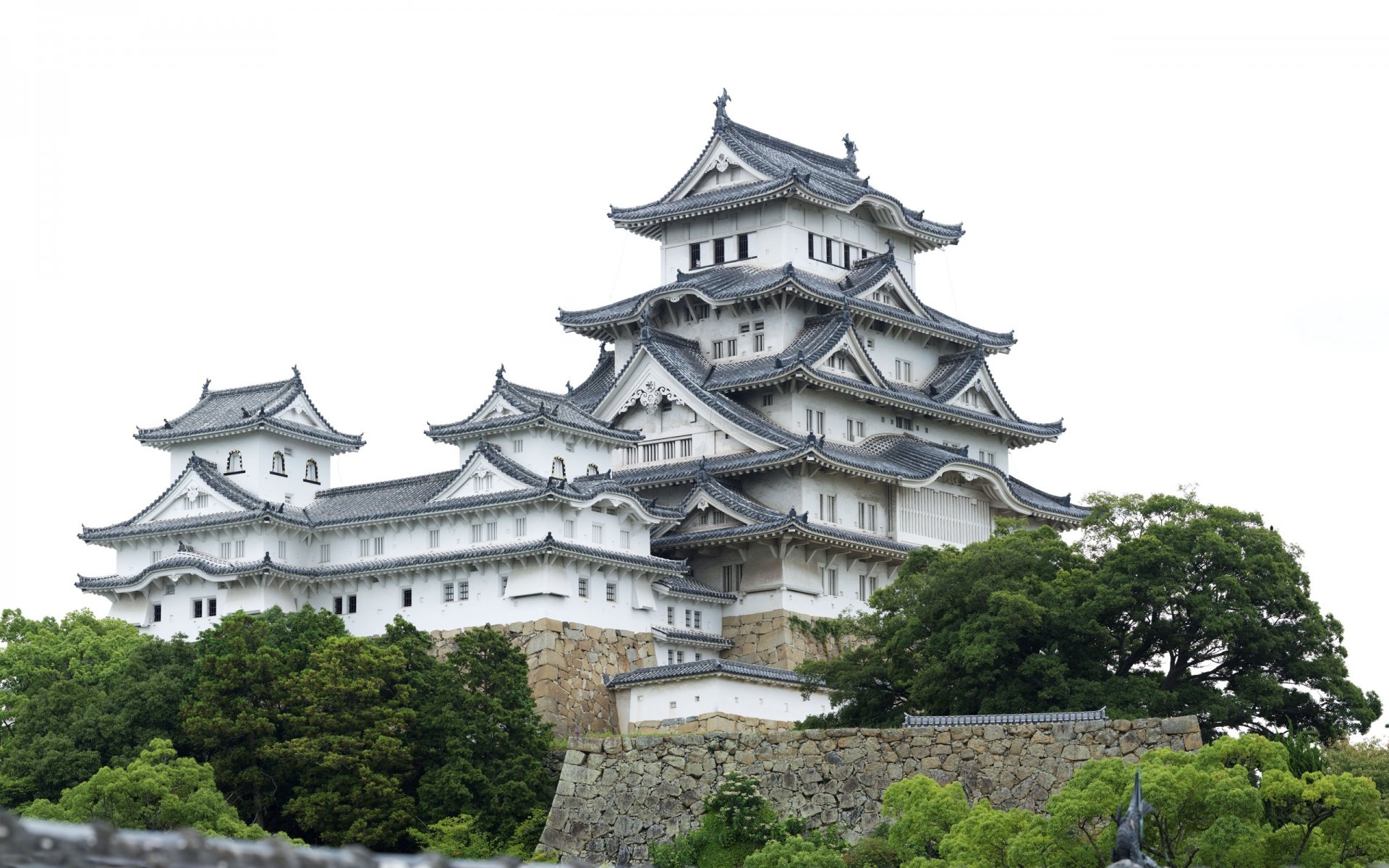 bäume japan tempel