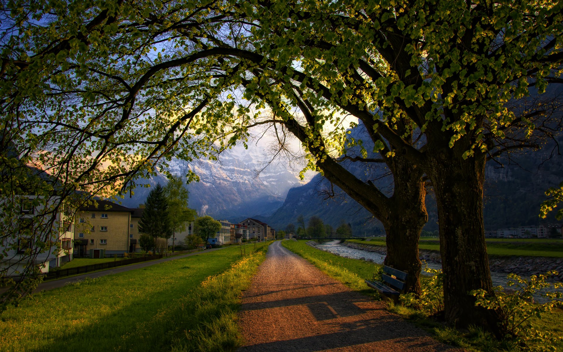 witzerland night spring tree road shop bench house mountain alps town