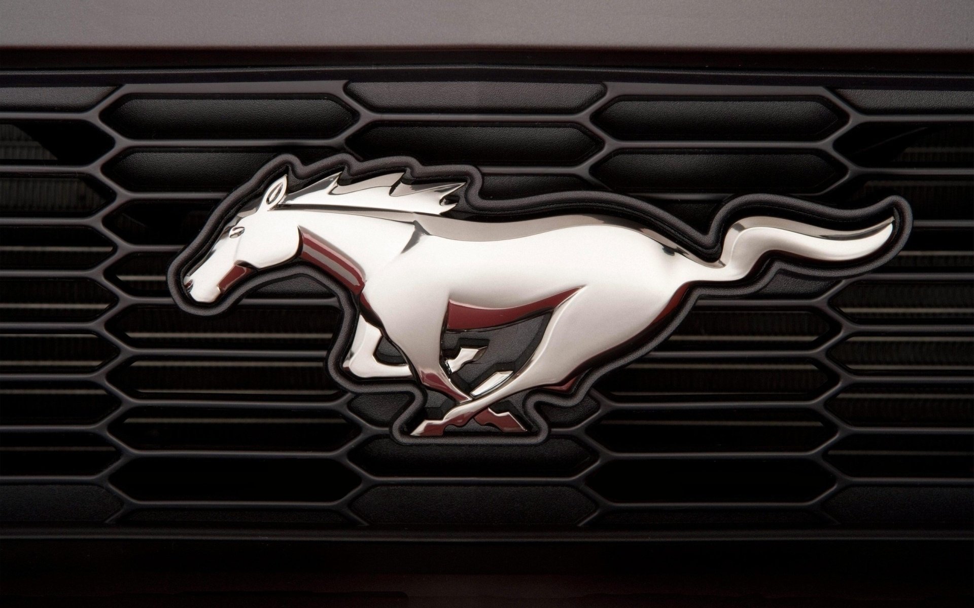 mustang ford emblem mustang ford