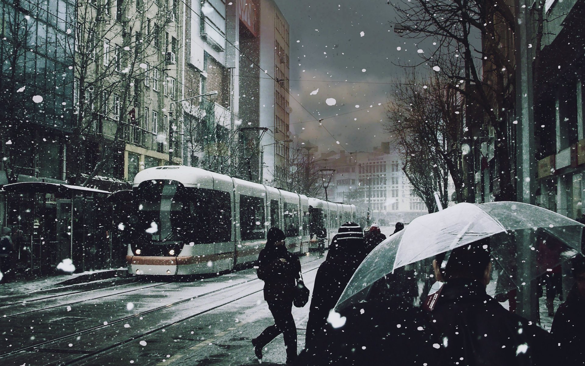 straßenbahn menschen schnee regenschirme