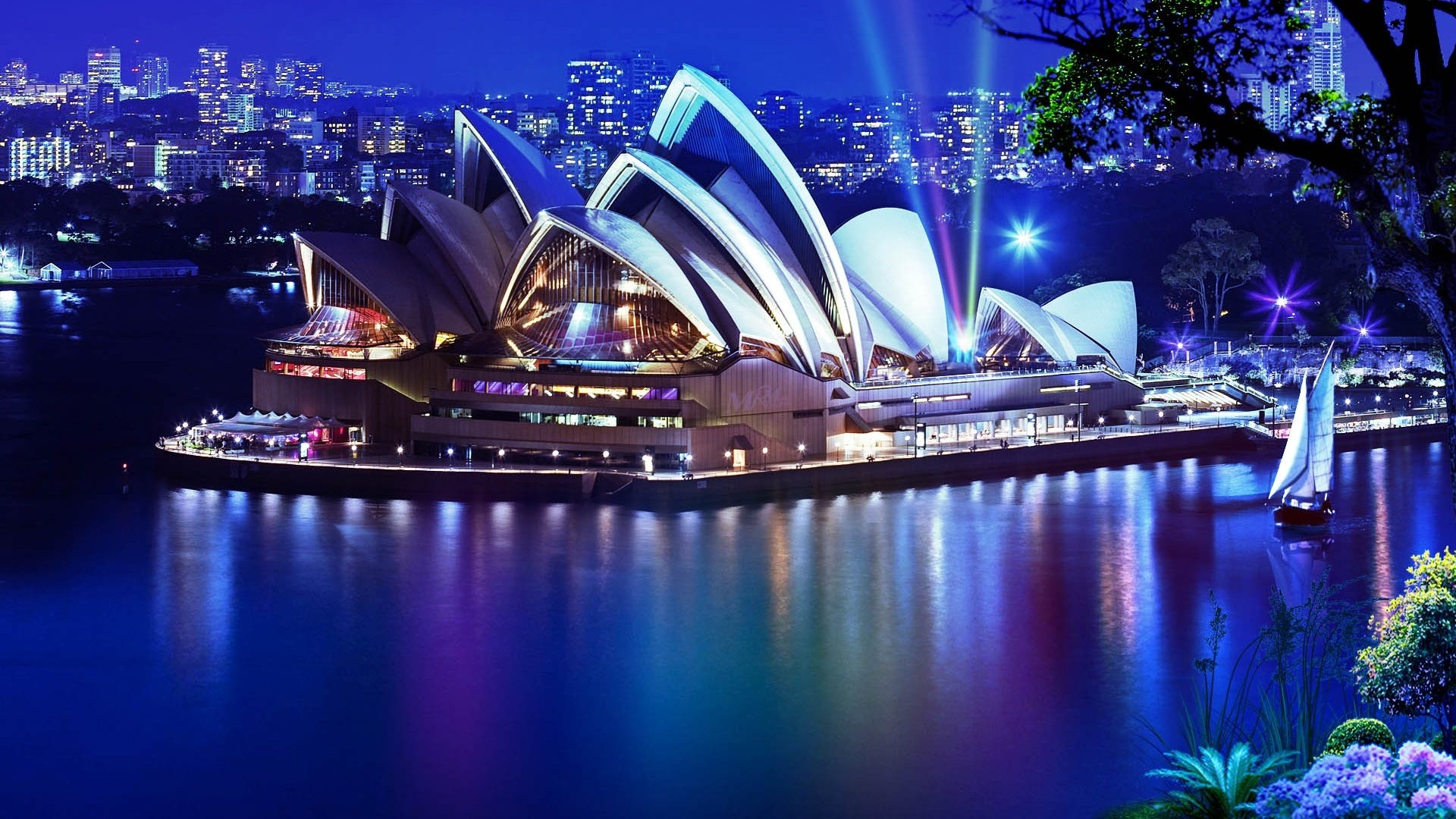 sydney opera house building sydney teatro notte acqua yacht albero piante città