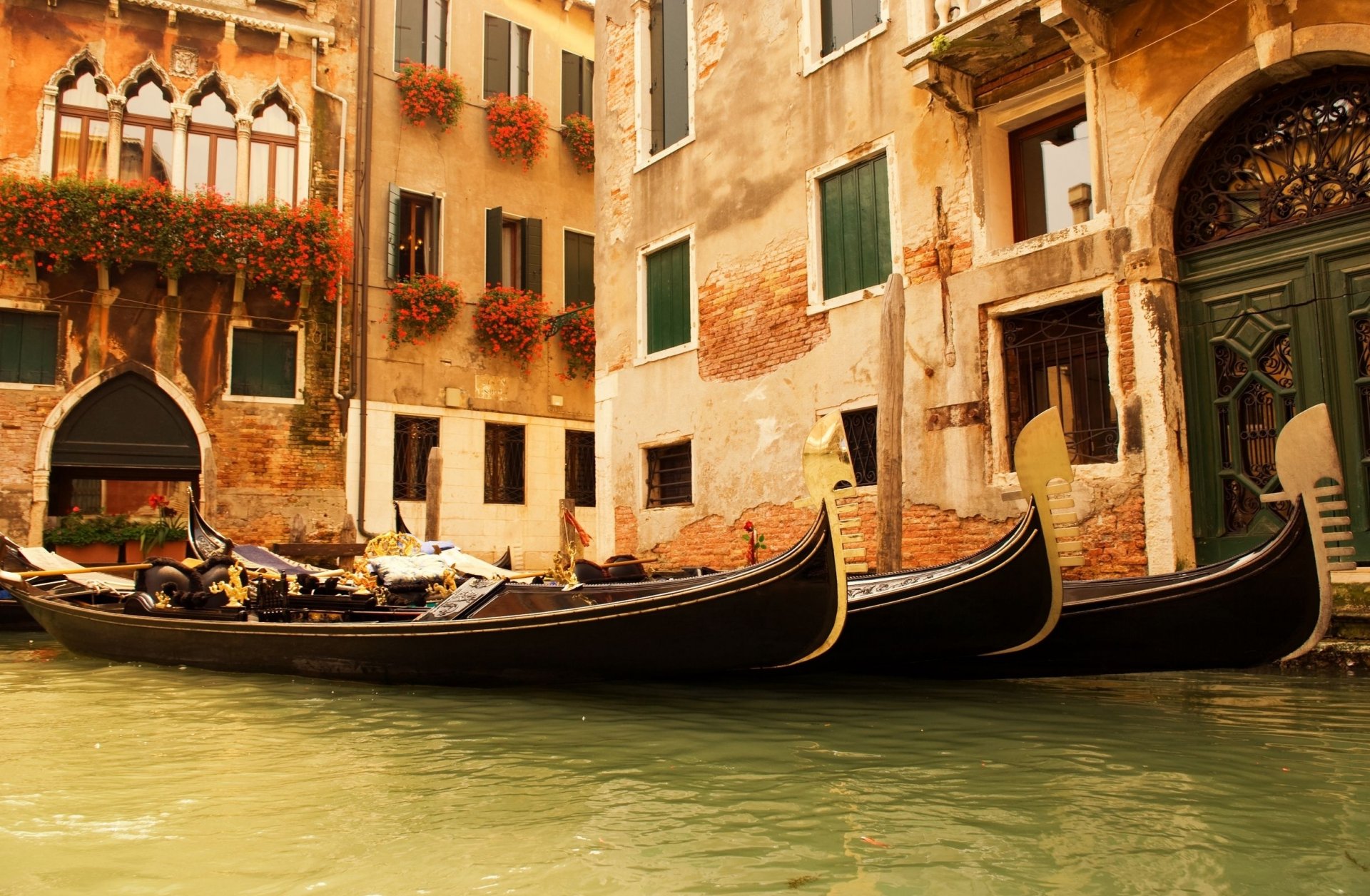 italy venice water of the nacelle house window flower