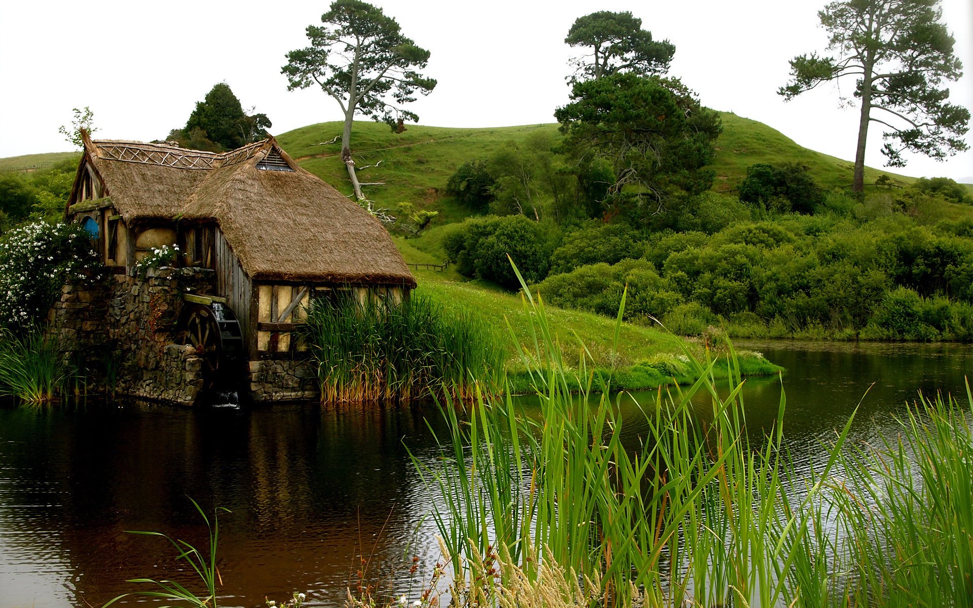 blumen gras wasser teich mühle haus