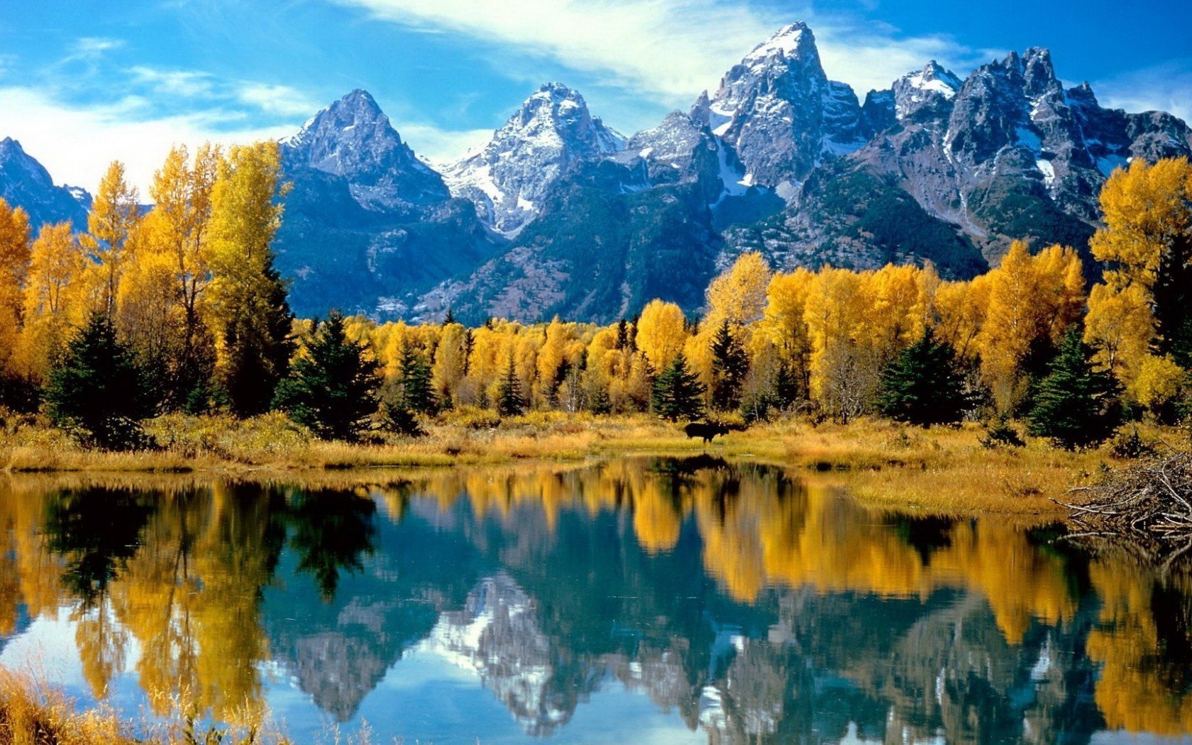 lago autunno foresta montagne