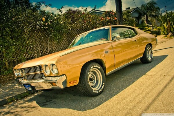 Chevrolet on a sun-drenched road