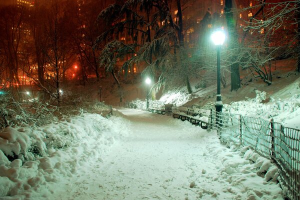 Piękny park z miejskimi latarniami