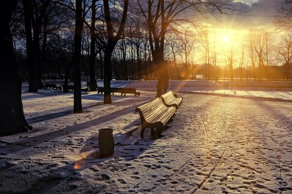 Aube dans le parc de neige d hiver