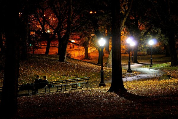 Parque de otoño en nueva York por la noche