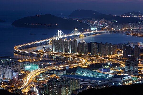 Night city with a bridge, illuminated by lights