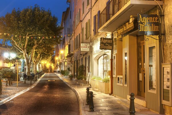 Arbres et lanternes dans la rue du soir