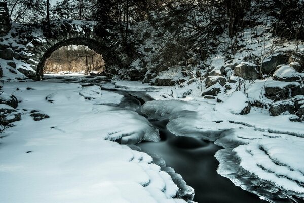 Wintertau im Wald am Bach