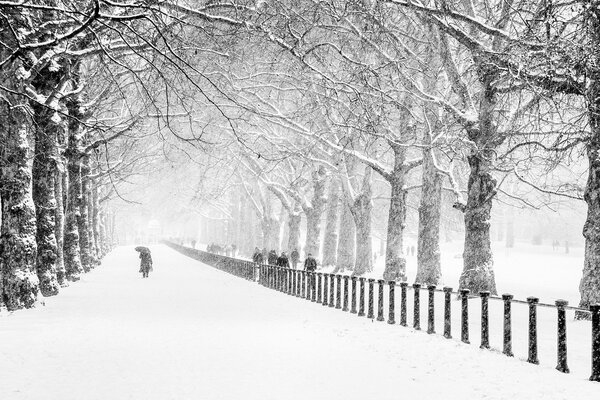 Tranquilo bulevar de invierno con un viajero solitario