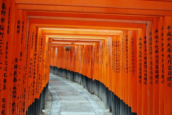 Obraz Fushimi Inari w Japonii