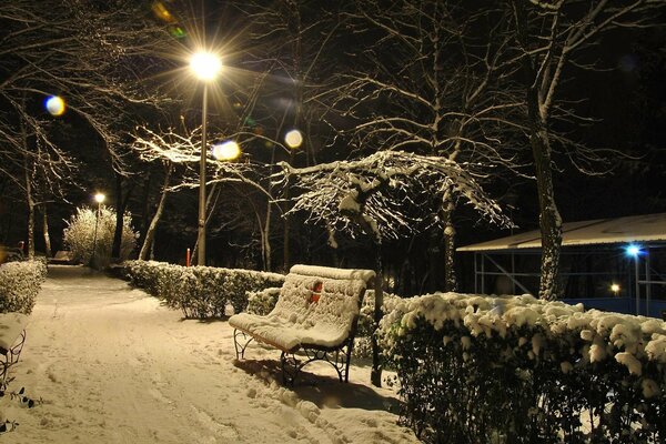 Banco en la nieve en la noche de invierno