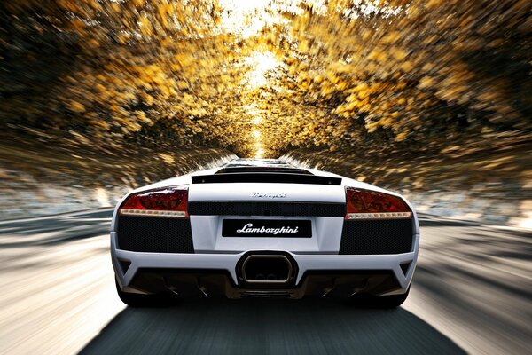 Lamborghini murcielago lp640 rast im Herbst mit Lichtgeschwindigkeit