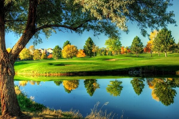 Natura Lago cielo erba alberi