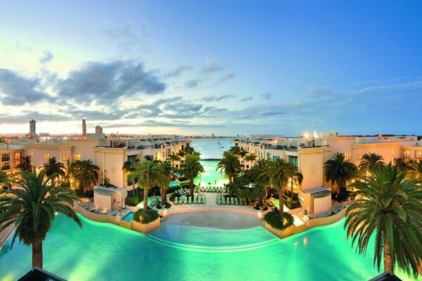 Piscine avec palmiers sur place