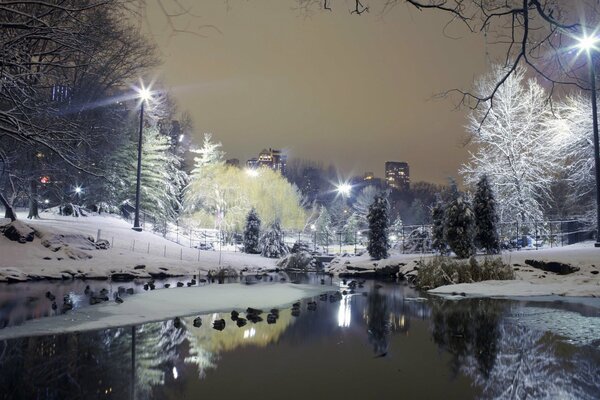 Зимний городской парк с фонарямиЗакат
