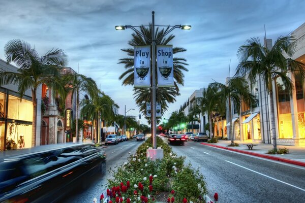 Road and shopping in Beverly Hills