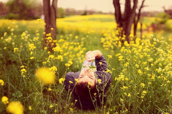 Facet na polu wśród żółtych kwiatów