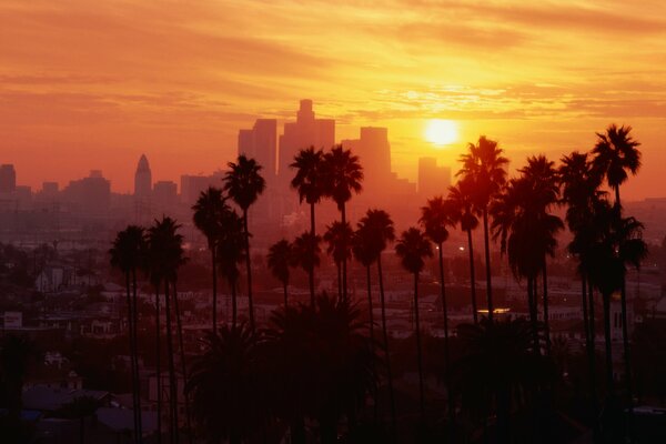 Coucher de soleil aux États-Unis dans la ville de Los Angeles