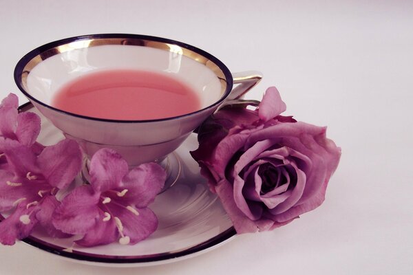 Beautiful nectar from pink roses