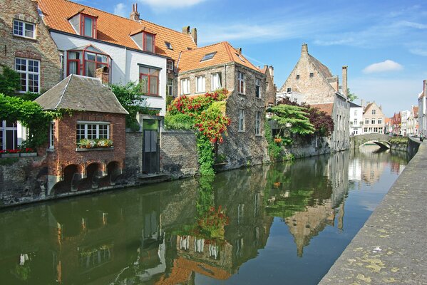 Die Altstadt von Venedig und die grünen Pflanzen auf dem Bolkon