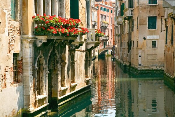 Balcon Italien avec des fleurs rouges