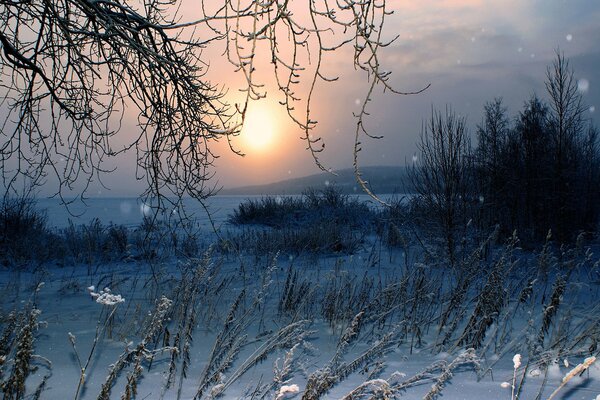 Natur im Winter Schnee und Sonne