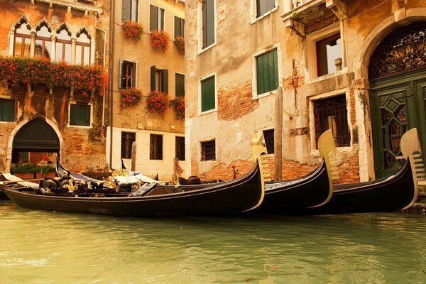 Gondole a Venezia. Case e finestre con fiori D Italia