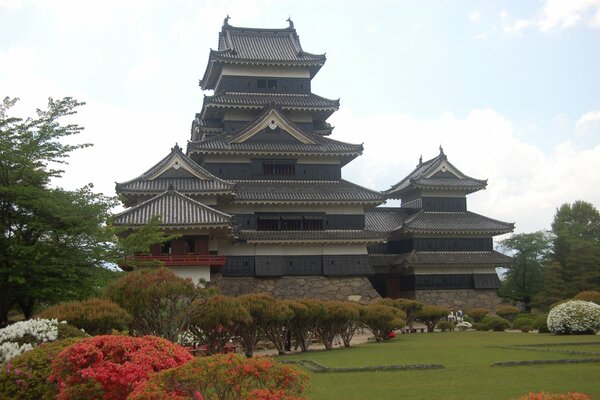 Splendido castello in Giappone