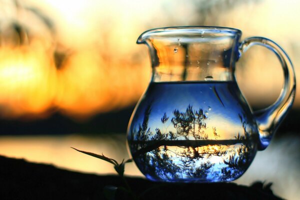 Macro landscape wildlife reflection in a vessel