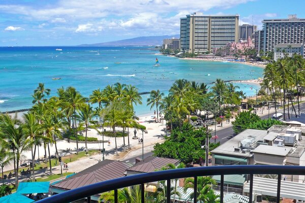 Sonniger Strand mit Palmen in Hawaii