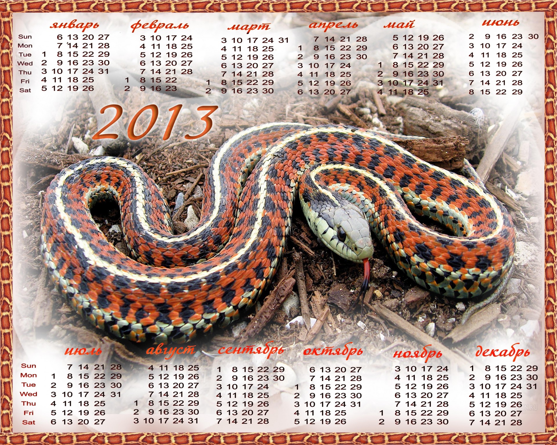 serpientes año nuevo calendario 2013