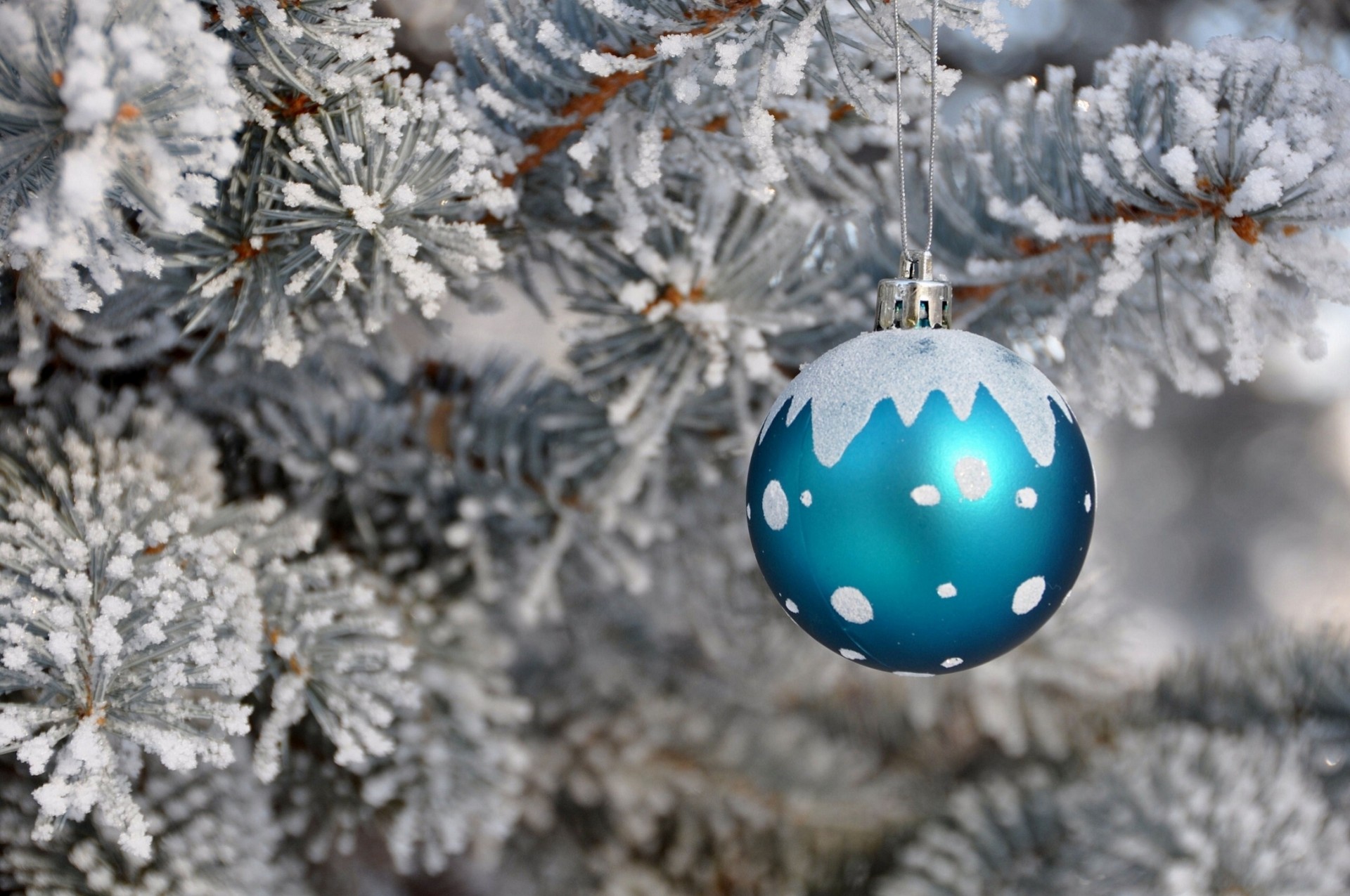 weihnachtsbaum kugel frost spielzeug