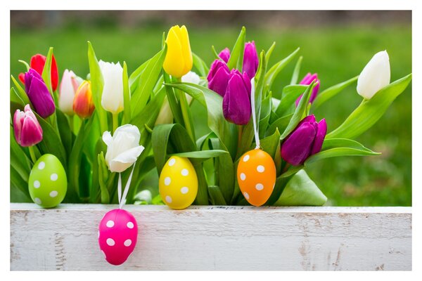 Bright tulips and Easter eggs