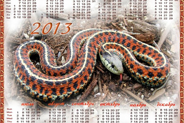 Calendar for the new year of the snake