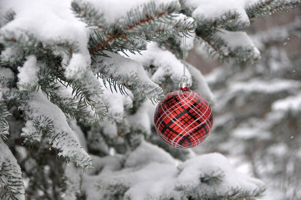 Bola roja en el árbol de nieve